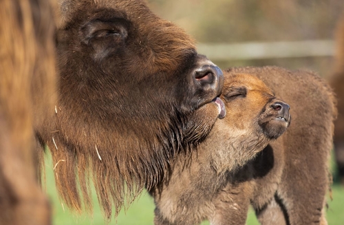 8 Exciting Events And Activities That Will Start Your Summer Off Right Fota
